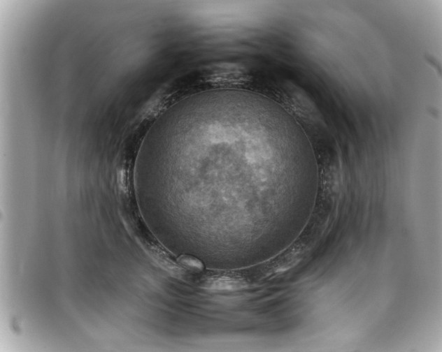 X0000098000755200803241342