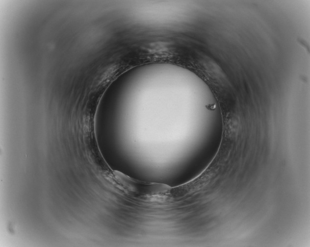 X0000098000756200803241342