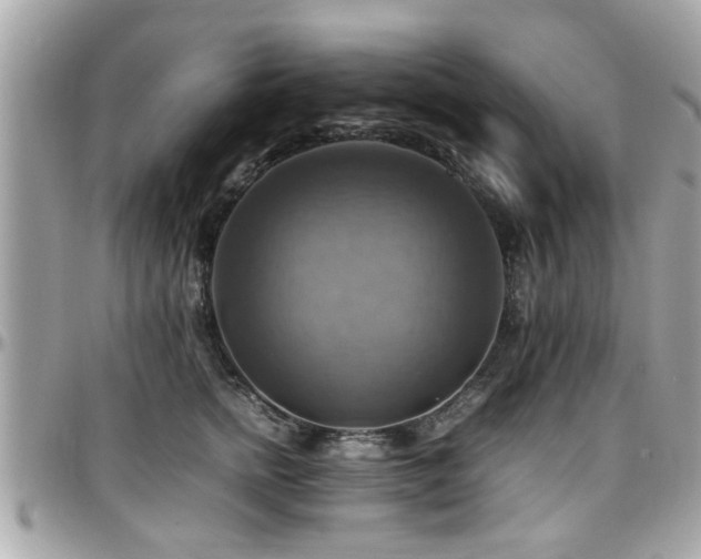 X0000098000758200803241342