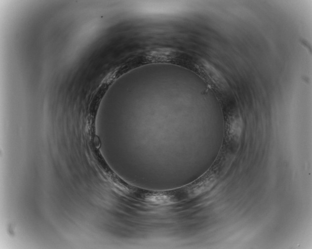 X0000098000759200803241342
