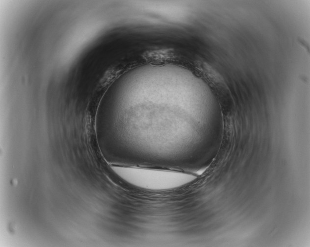 X0000098000760200803241342