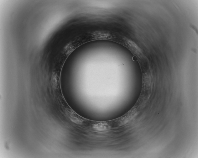 X0000098000761200803241342
