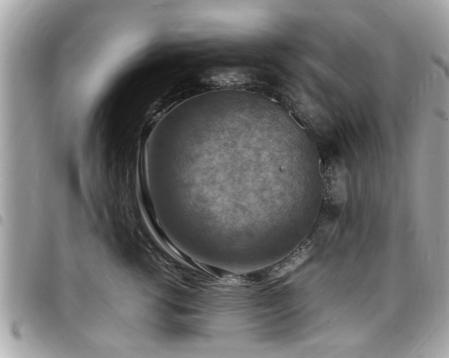 X0000098000762200803241342