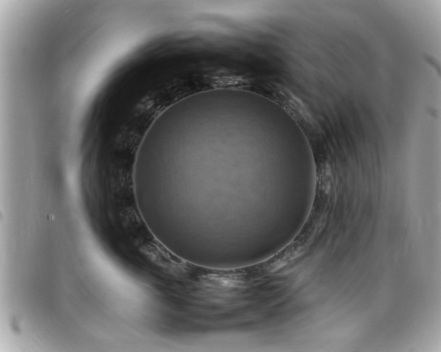 X0000098000763200803241342