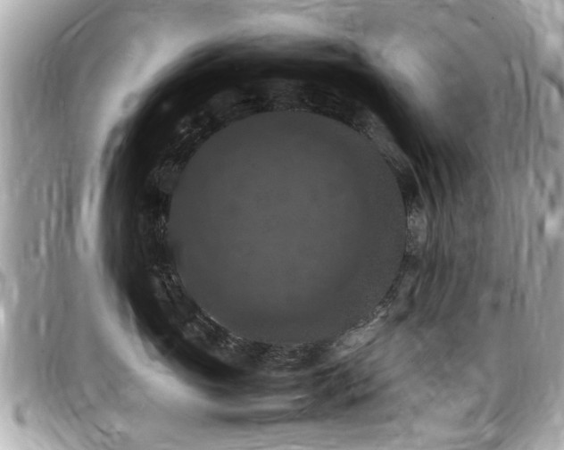 X0000098000765200803241342