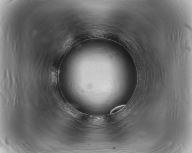 X0000098000768200803241342