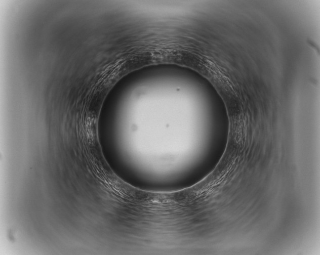 X0000098000770200803241341