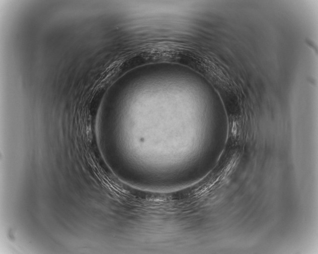 X0000098000771200803241341