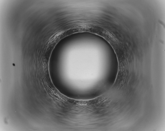 X0000098000773200803241341