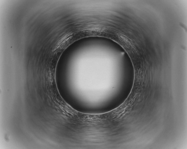 X0000098000774200803241341