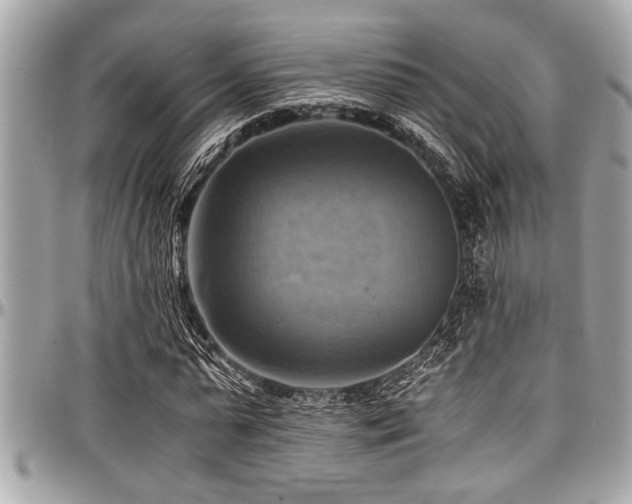 X0000098000775200803241341