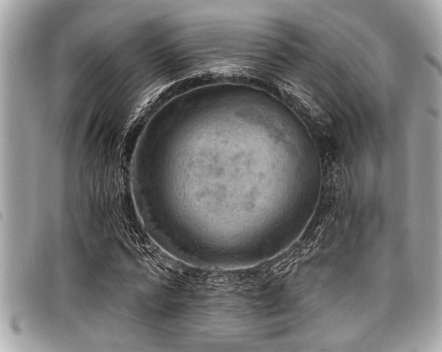 X0000098000776200803241341