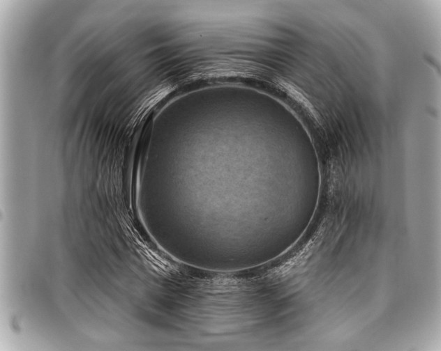 X0000098000777200803241341