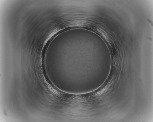 X0000098000779200803241341