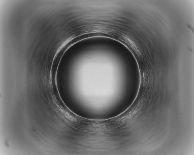 X0000098000780200803241341