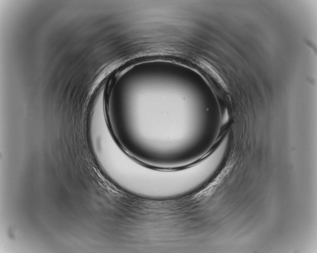 X0000098000781200803241341