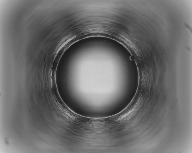 X0000098000782200803241341