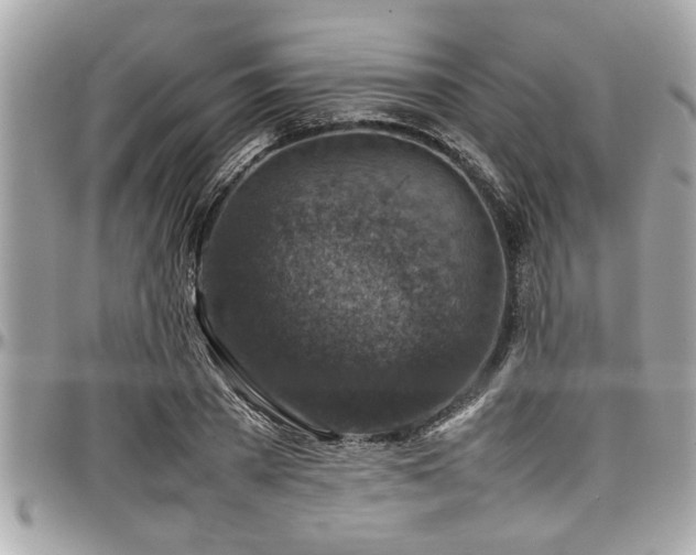 X0000098000785200803241341