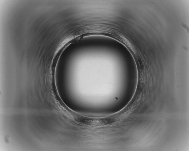 X0000098000787200803241341