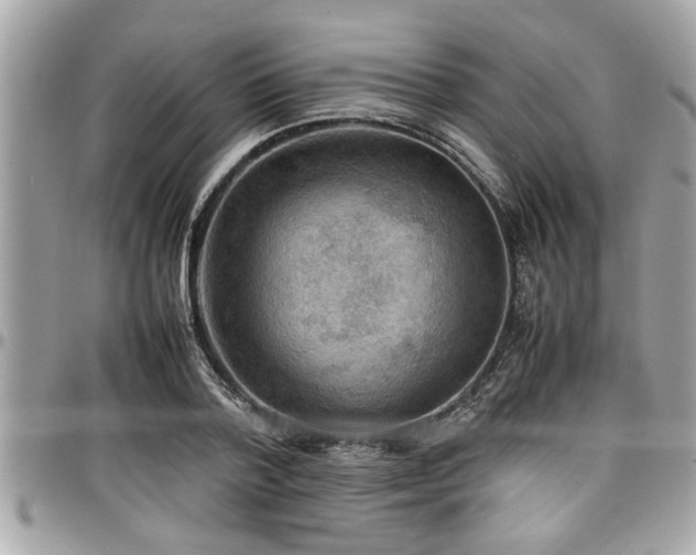 X0000098000788200803241341