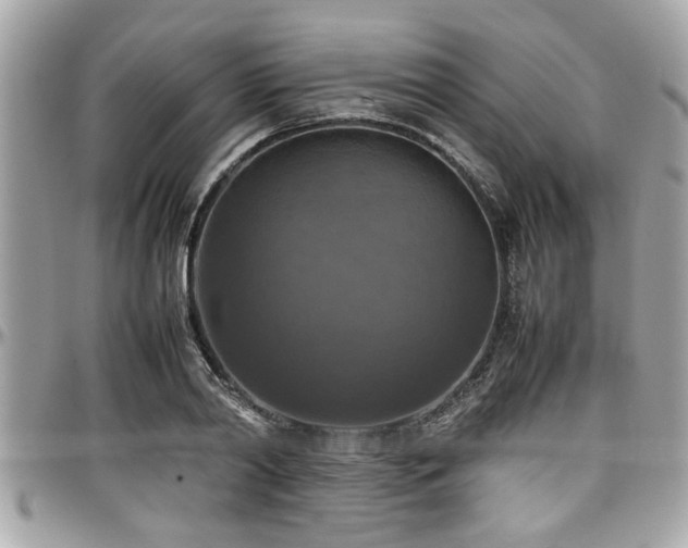 X0000098000790200803241341