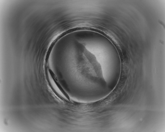 X0000098000791200803241341