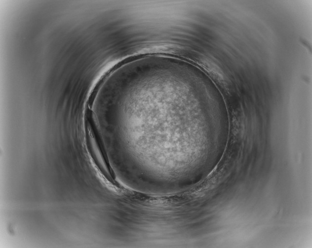 X0000098000792200803241341
