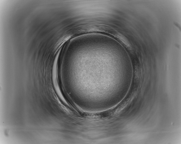 X0000098000793200803241341