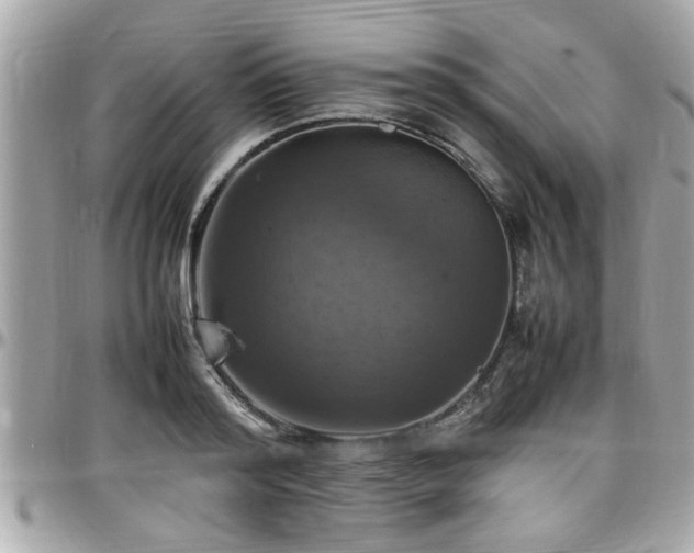 X0000098000796200803241341