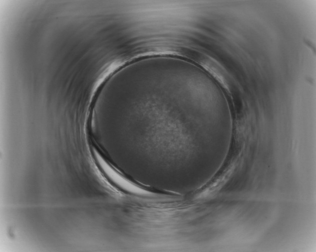 X0000098000797200803241341