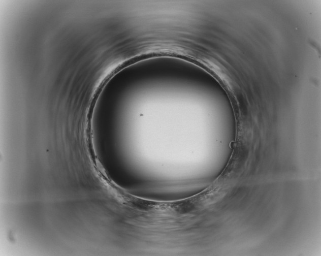 X0000098000799200803241341