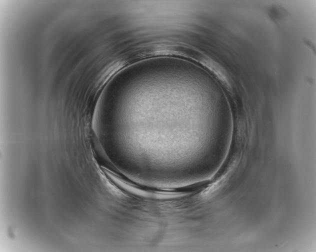 X0000098000801200803241341