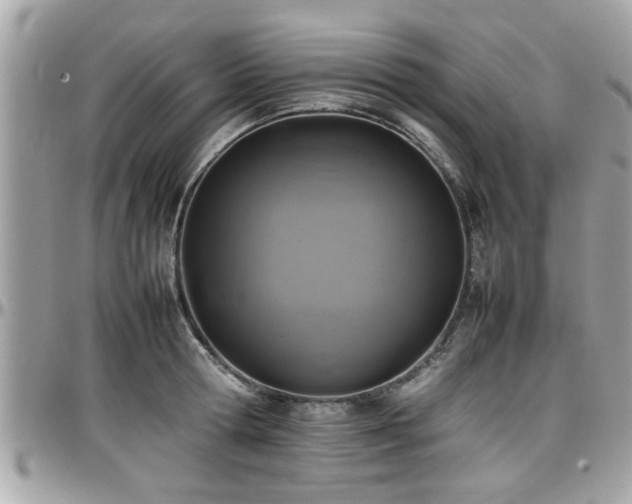 X0000098000802200803241341