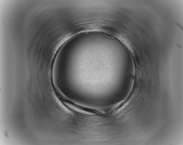 X0000098000805200803241341
