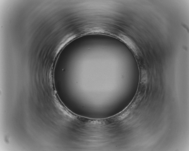 X0000098000806200803241341