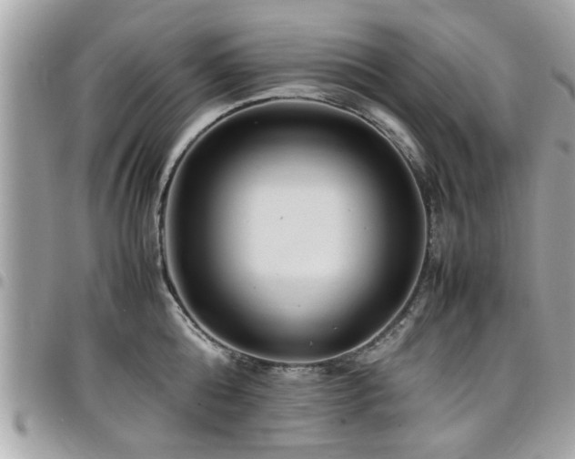 X0000098000808200803241341