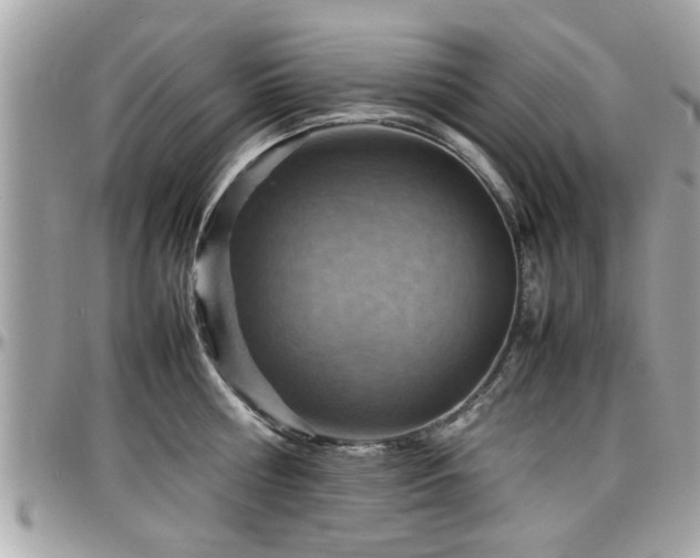 X0000098000810200803241341