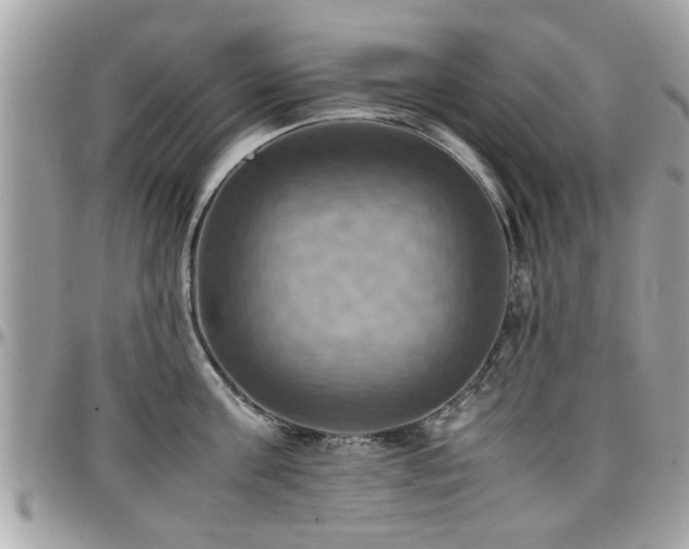 X0000098000811200803241341