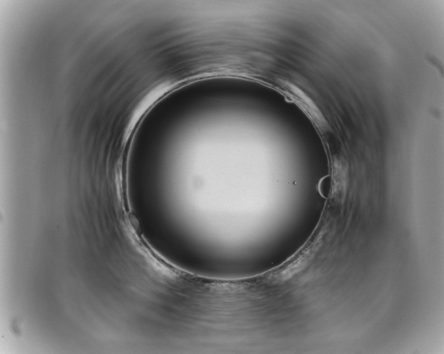 X0000098000812200803241341