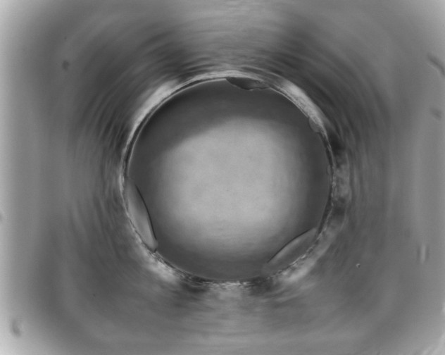 X0000098000813200803241341