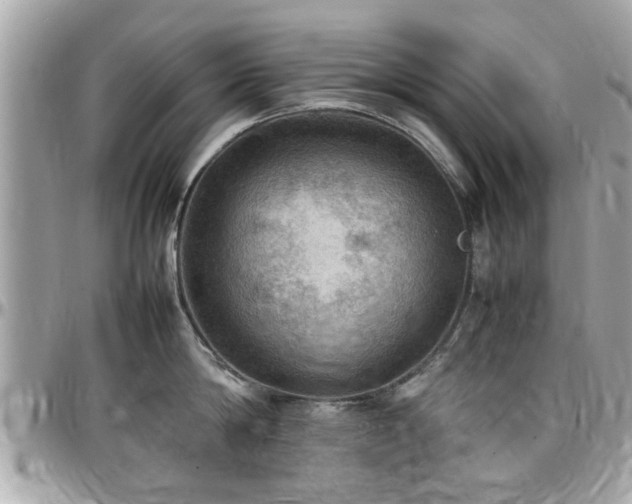 X0000098000814200803241341