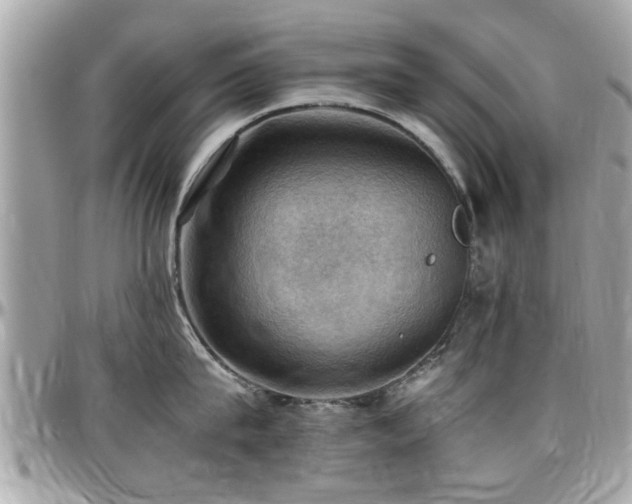 X0000098000815200803241340