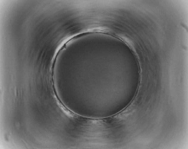 X0000098000816200803241340