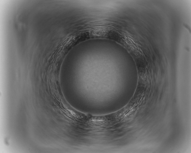 X0000098000817200803241340
