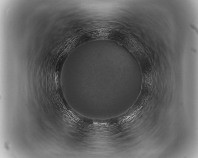 X0000098000818200803241340