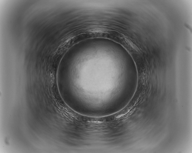 X0000098000821200803241340