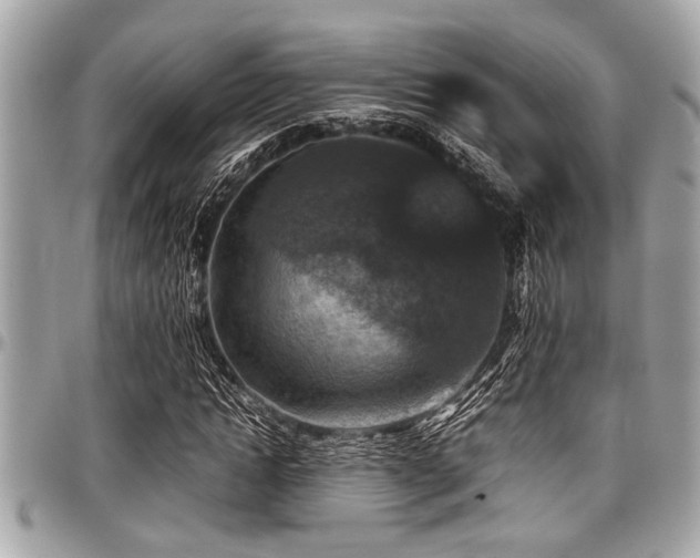 X0000098000822200803241340