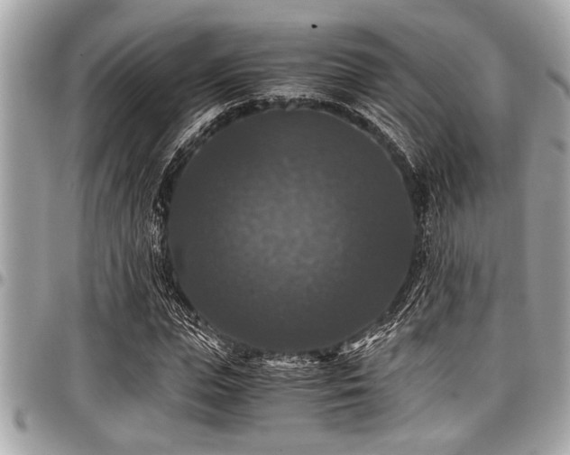 X0000098000823200803241340