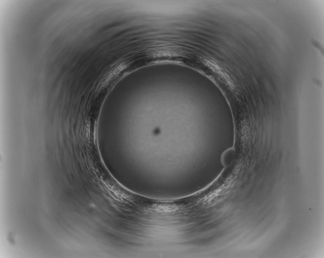 X0000098000825200803241340