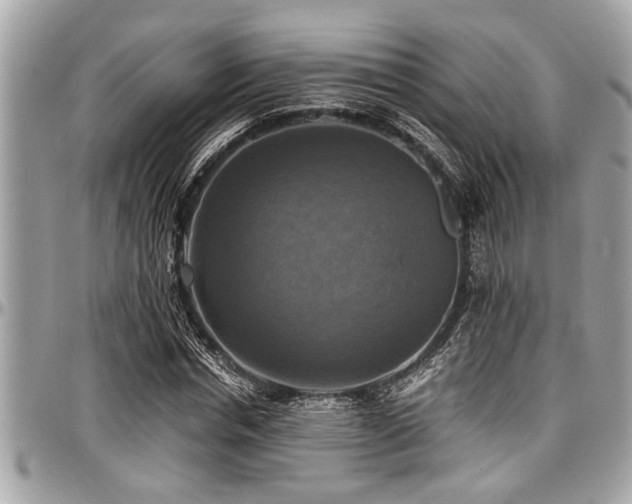 X0000098000826200803241340